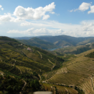 Portuguese wine region - Douro