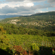Portuguese wine region - Vinho Verde