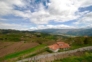 Vinho verde vine region