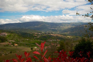 Vinho verde landscape